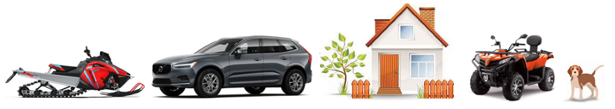 Försäkringar till snöskoter, bil, hem, ATV, hund mm